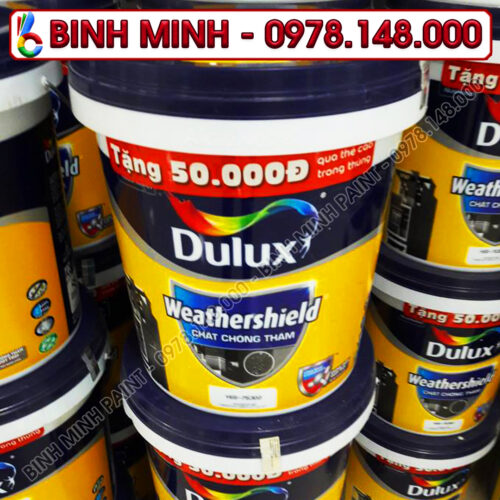 Sơn Chống Thấm Dulux Weathershiled 3