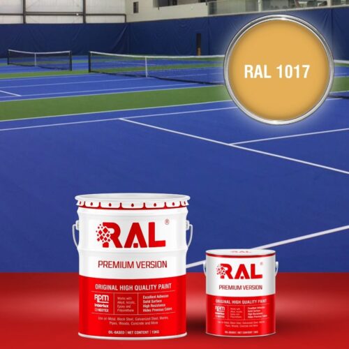 B27 Son san the thao Epoxy tu san RAL 1017 1