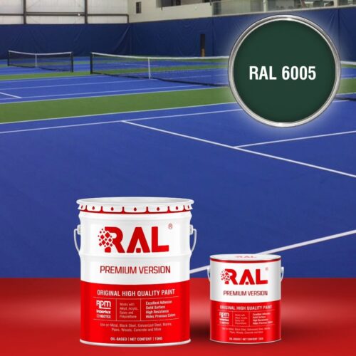 B27 Son san the thao Epoxy tu san RAL 6005 1