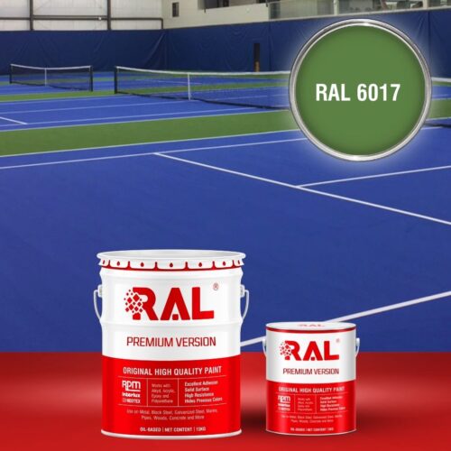 B27 Son san the thao Epoxy tu san RAL 6017 1