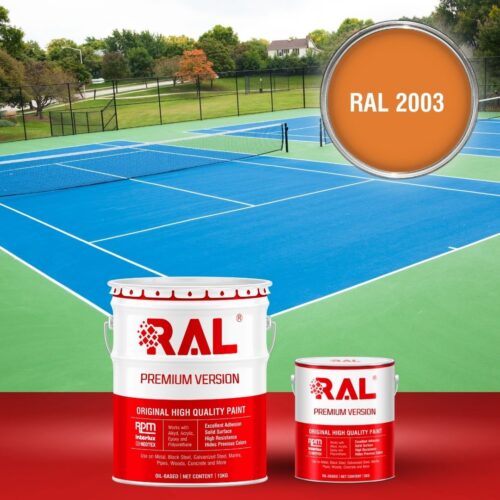 B29 Son san the thao PU he lan RAL 2003 1