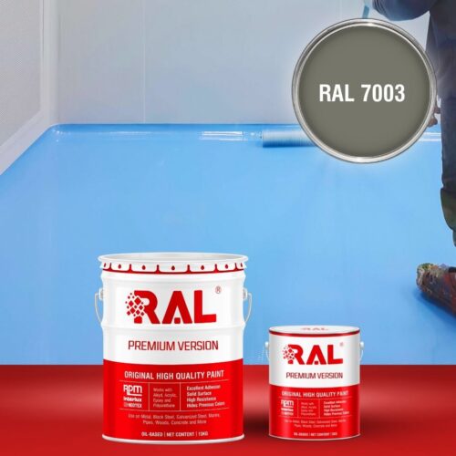 B5 Son san Epoxy tu san RAL 7003 1